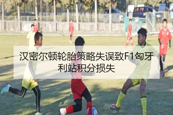汉密尔顿轮胎策略失误致F1匈牙利站积分损失